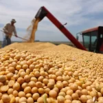 Agricultura: valor bruto da produção agropecuária em março alcança R$ 1,147 trilhão, recuo de 1,4%