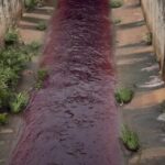 Prefeitura identifica empresa que descartou produto irregularmente no Ribeirão Pirapitinga